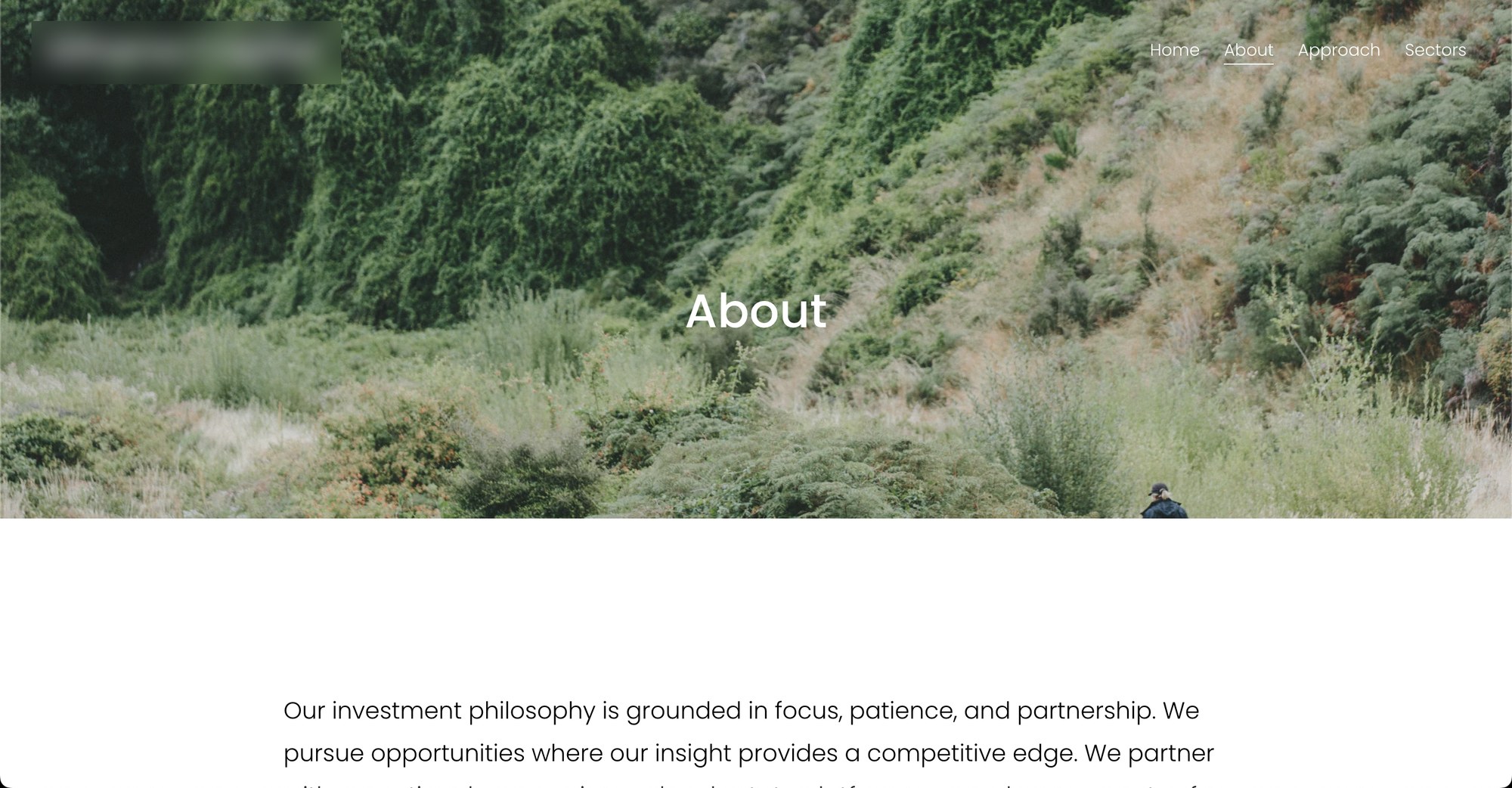 The old site's About page, with another stock nature photo and the company name blurred out