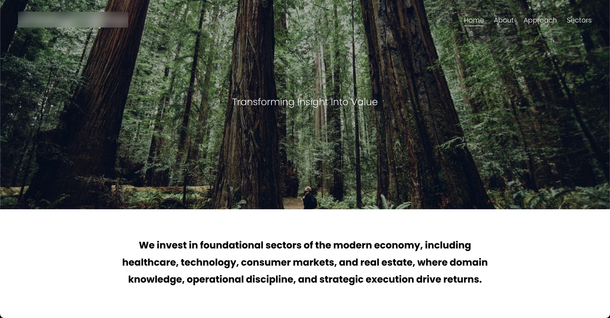 The old site's homepage, with a stock redwood forest photo and the company name blurred out